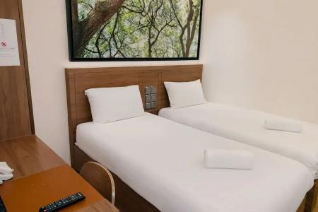 Lion Peak Raffles - Staycation Approved - 36