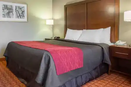 Comfort Inn & Suites near Kino Sports Complex - 45