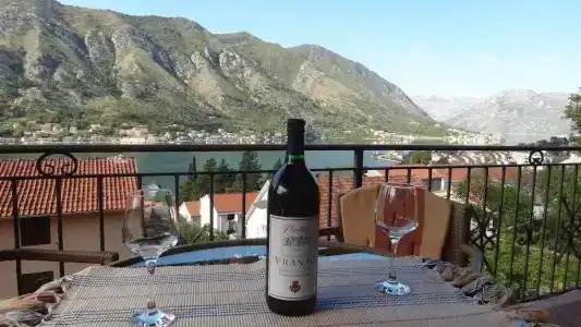 Lazarević - 84