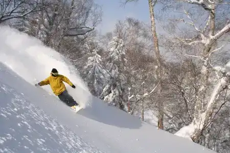 Furano Natulux - 23
