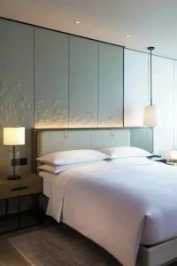 Shenzhen Marriott Nanshan - 41
