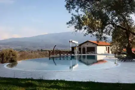 Vinifera Vineyards - 28