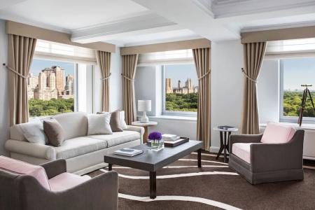 The Ritz-Carlton New York, Central Park - 85