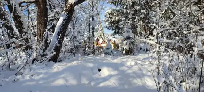 Закрут - 24