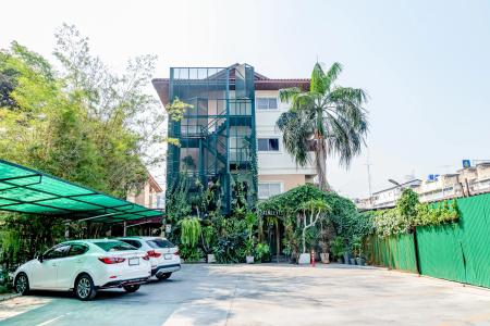 The Palm - 11