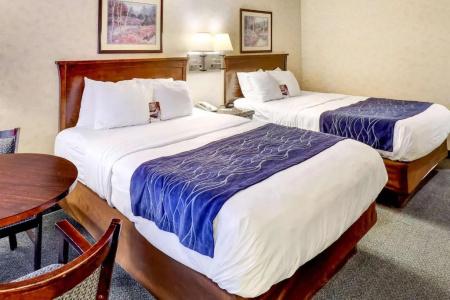 Comfort Inn - 43