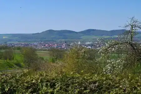 Pension Schöpke - 59