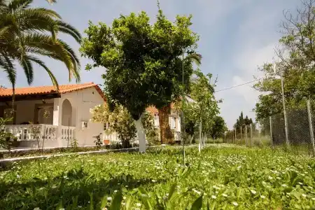 Paradise Village - 16