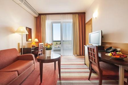 Grand Primus - Terme Ptuj - Savas & Resorts - 71