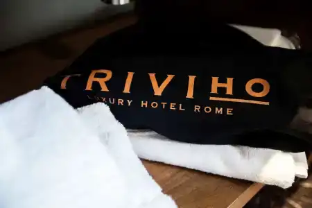 Triviho - 40