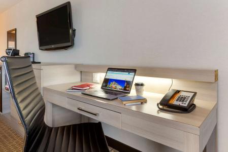 Best Western Plus Village Park Inn - 58