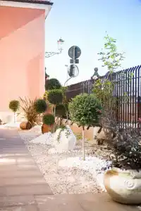 Al Prato - 20