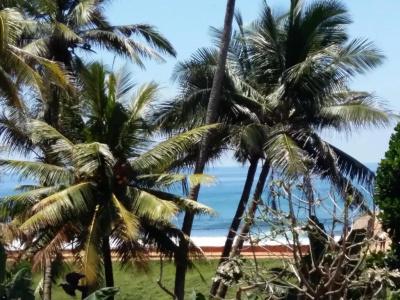 Southern Comforts - Galle Fort - 14