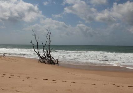 Serein Beach - 11