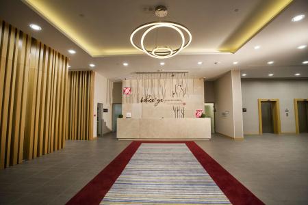 Hilton Garden Inn Erzincan - 10