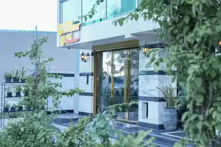 Sunny Canopy - 8