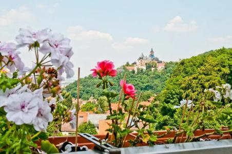 RegioSchanzenhaus Wernigerode - 57