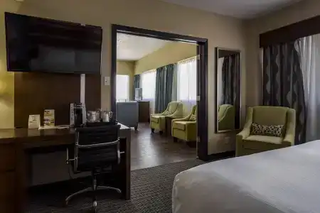 Holiday Inn Houston Downtown, An Ihg - 85