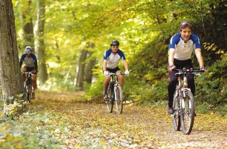 Behringer's Traube - 23