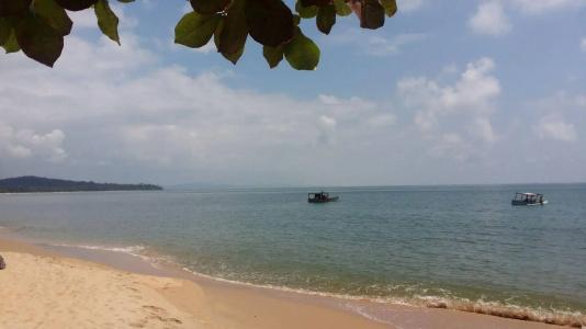 Wild Beach Phu Quoc Resort - 41