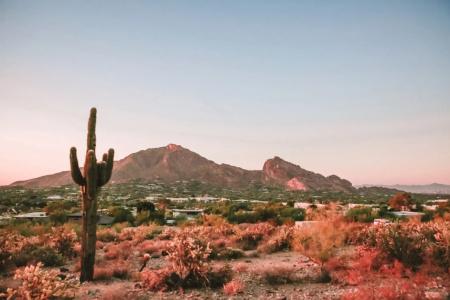 JW Marriott Camelback Inn & Spa - 38