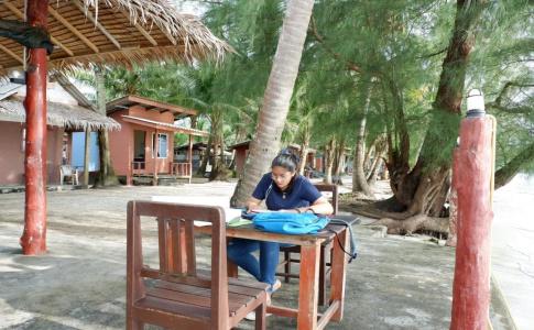 Tiger Hut - 12