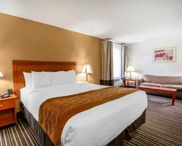 Comfort Suites At Sabino Canyon - 83