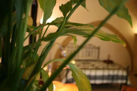 b&b Antiche Volte - 43
