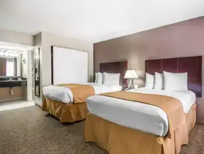 Quality Inn & Suites By the Parks - 42