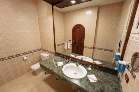 Seti Abu Simbel Lake Resort - 81