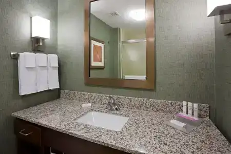 Homewood Suites by Hilton Mayo Clinic-St. Marys Campus - 89