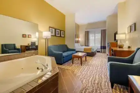 Comfort Suites - 40
