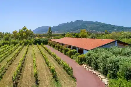 Rurale Orti Di Nora & Spa - 43