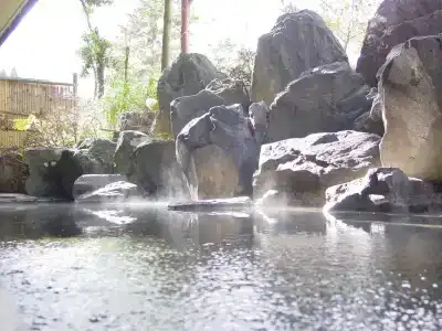 Apa & Resort Joetsu Myoko - 21
