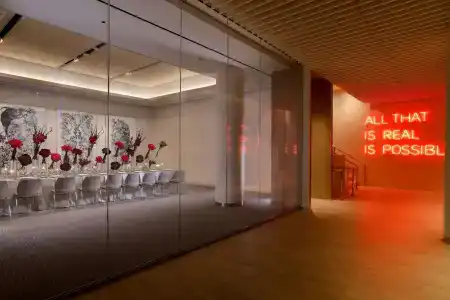 Hall Arts, Dallas, Curio Collection By Hilton - 21