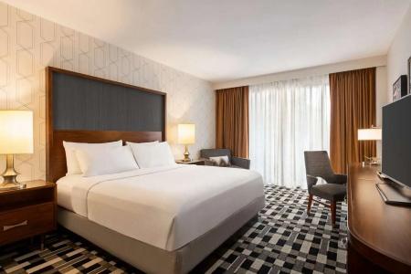 The American Atlanta Downtown-a Doubletree by Hilton - 34