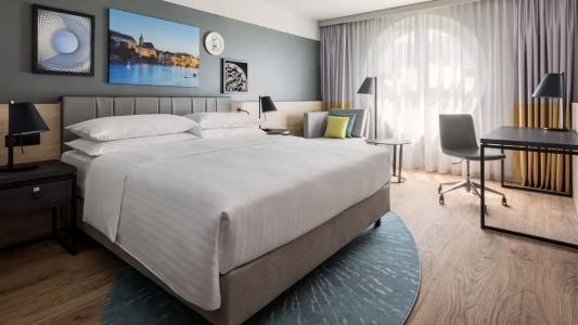 Swissotel Le Plaza Basel City - 51
