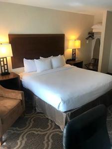 Ashmore Inn and Suites - 21