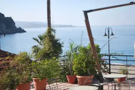 Scilla Sirene - 9