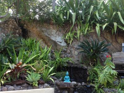Garden Burees - 10