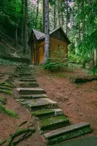 Nunisi Forest & SPA - 12