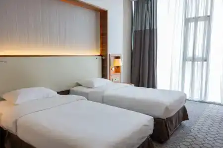 Anemon Samsun - 50