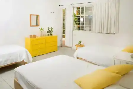 Casa Canario - 31