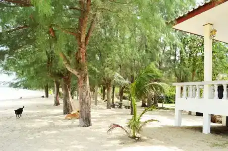 Sangjun On Beach - 22