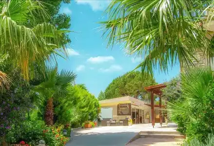 Bodrum Sofabed - 15