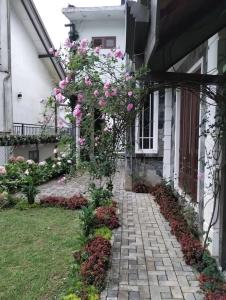 Pensive Villa - Nuwara Eliya - 8