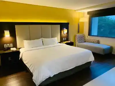 Holiday Inn Express - Mexico Basilica, An Ihg - 47