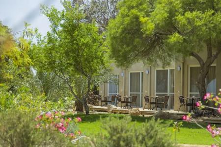 Ein Gedi Kibbutz - 36