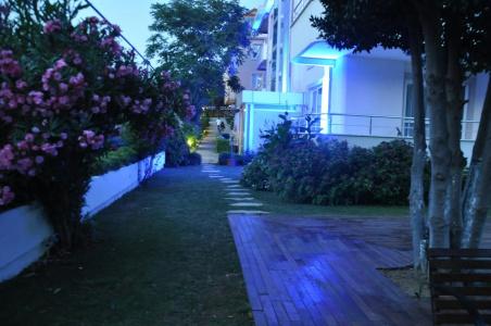 Island - 38