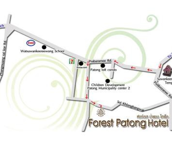 Forest Patong - 14